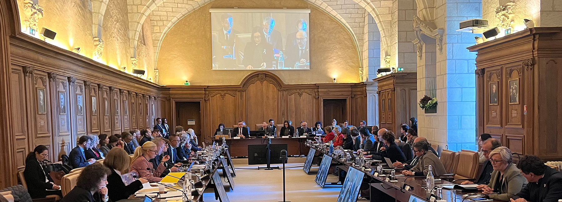 Les conseillers départementaux réunis en session