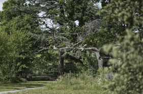 PARC PARC DE LA PIVERDIERE ©BERTRAND BECHARD - MAIRIE DE BOUCHEMAINE