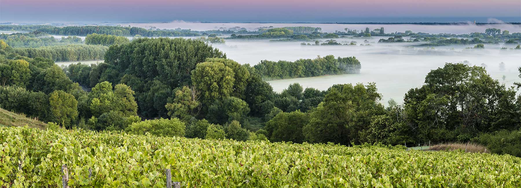 Vue des côteaux et de la Loire depuis la corniche angevine