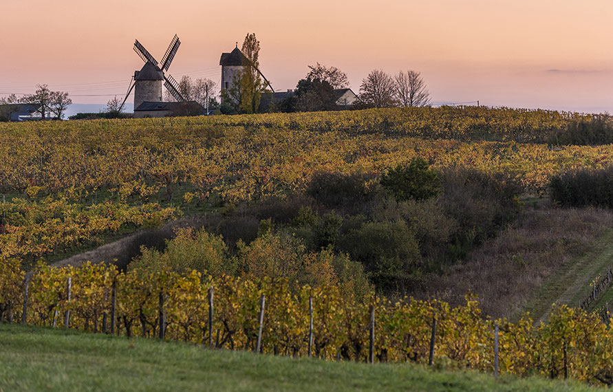 Vue crépusculaire de vignables et moulins