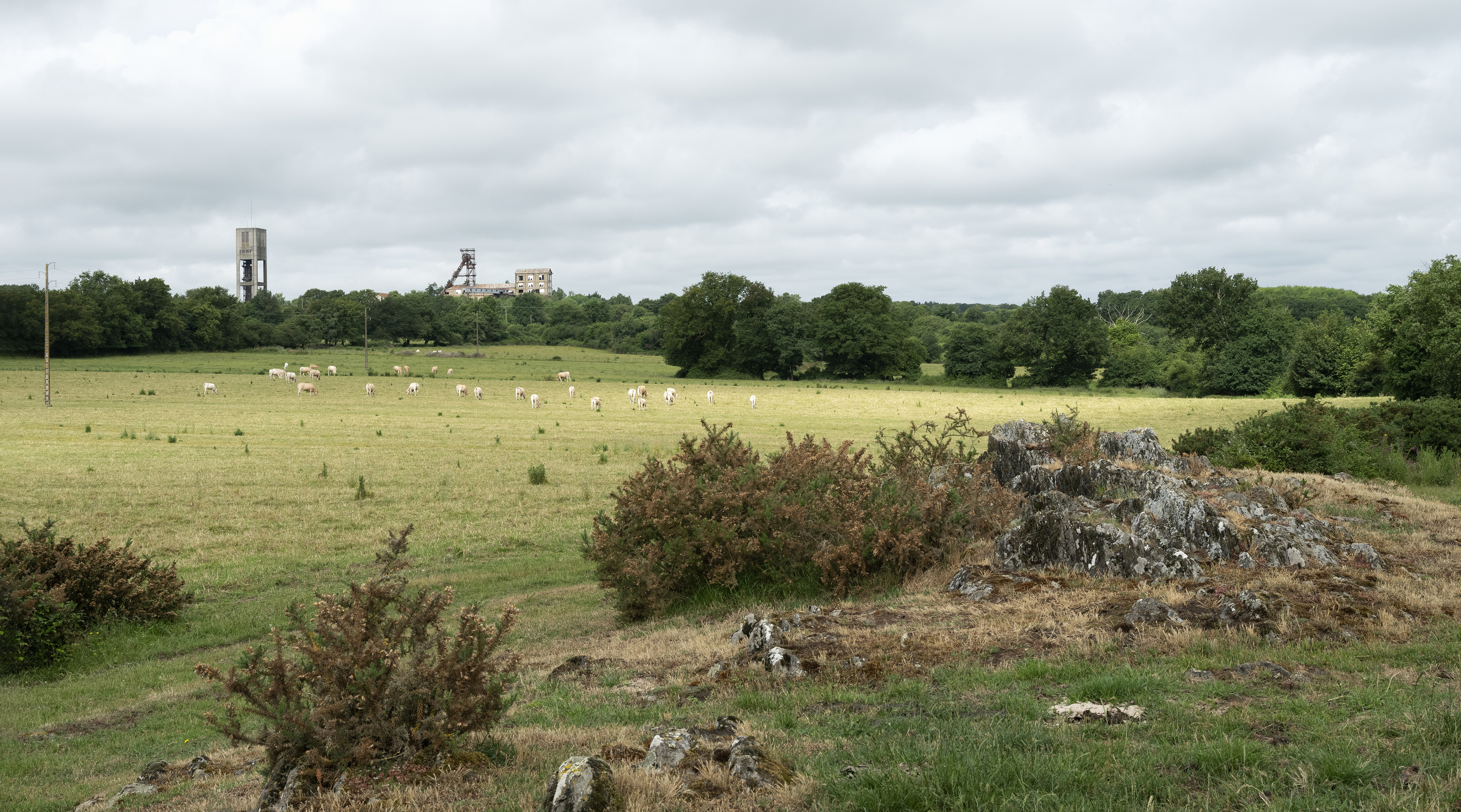 Paysage du patrimoine industriel du Segréen