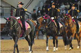 Ecole cadre noir Saumur tradition équitation
