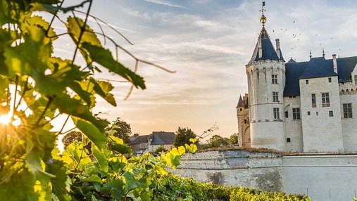 Vue extérieure du château de Saumur depuis des vignes