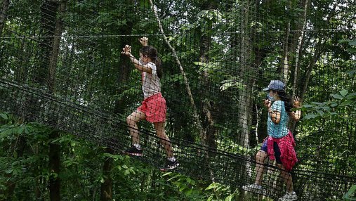 "Les mystères de la forêt" : nouvelle zone ouverte à Terra Botanica