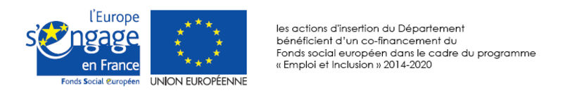 les actions d'insertion du Département  bénéficient d’un co-financement du Fonds social européen dans le cadre du programme « Emploi et Inclusion » 2014-2020.